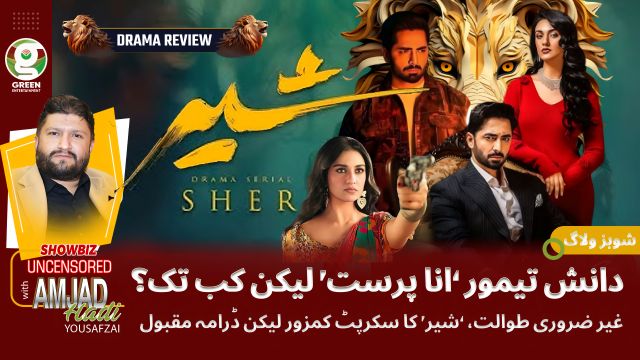 SHER Drama Review | Will Danish Taimoor’s Repeated Roles Hurt His Stardom?